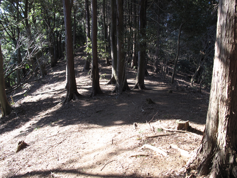 20170126hike (471)
